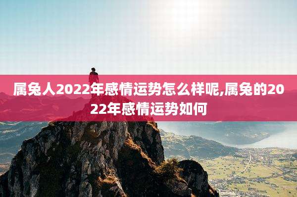 属兔人2022年感情运势怎么样呢,属兔的2022年感情运势如何