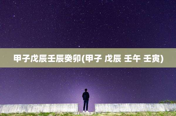 甲子戊辰壬辰癸卯(甲子 戊辰 壬午 壬寅)