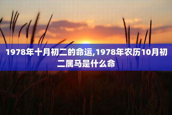 1978年十月初二的命运,1978年农历10月初二属马是什么命