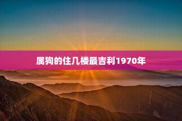 属狗的住几楼最吉利1970年