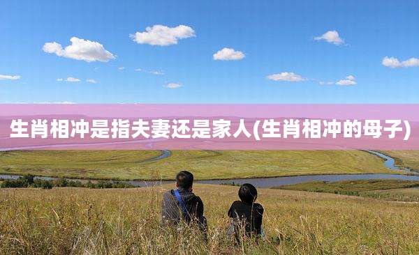 生肖相冲是指夫妻还是家人(生肖相冲的母子)
