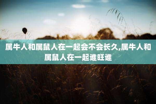 属牛人和属鼠人在一起会不会长久,属牛人和属鼠人在一起谁旺谁