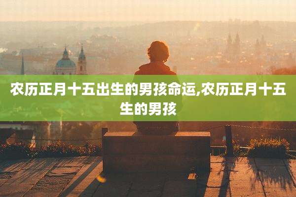 农历正月十五出生的男孩命运,农历正月十五生的男孩