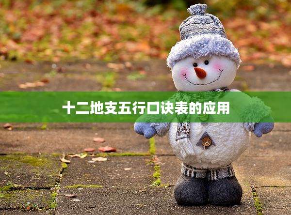 十二地支五行口诀表的应用