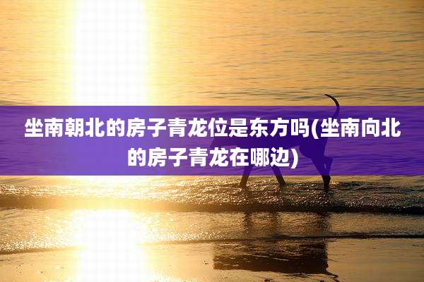 坐南朝北的房子青龙位是东方吗(坐南向北的房子青龙在哪边)