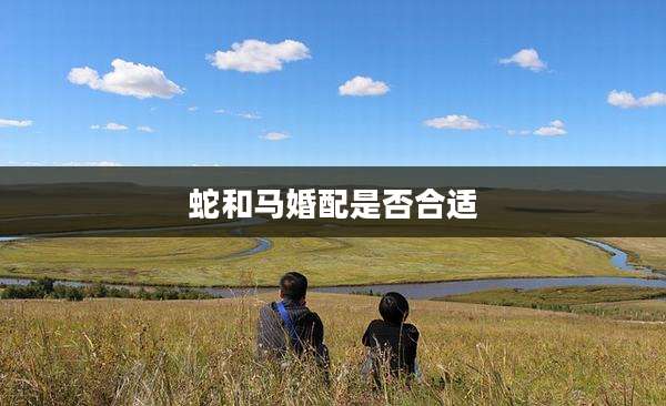 蛇和马婚配是否合适
