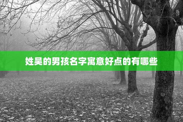 姓吴的男孩名字寓意好点的有哪些