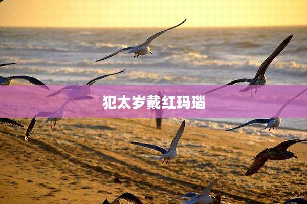 犯太岁戴红玛瑙