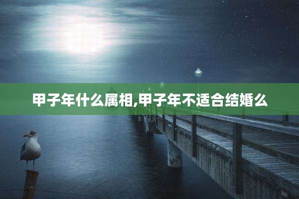 甲子年什么属相,甲子年不适合结婚么