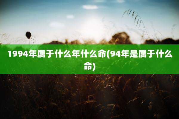 1994年属于什么年什么命(94年是属于什么命)