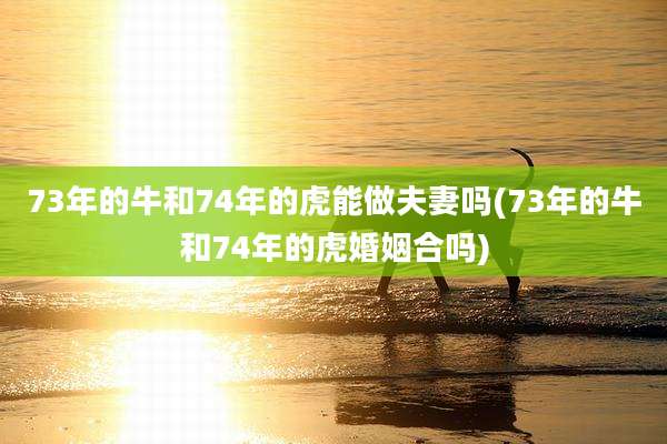 73年的牛和74年的虎能做夫妻吗(73年的牛和74年的虎婚姻合吗)