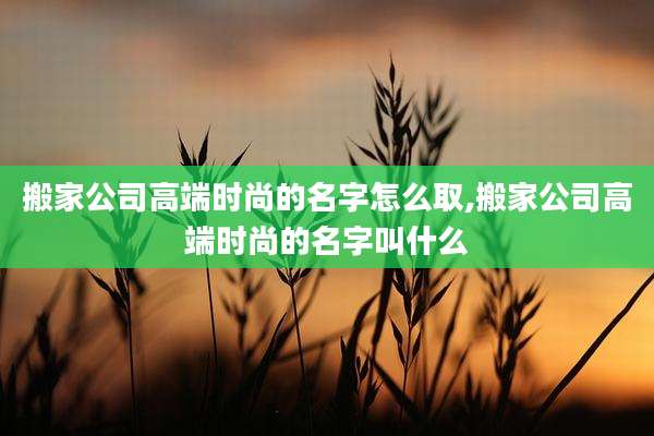 搬家公司高端时尚的名字怎么取,搬家公司高端时尚的名字叫什么