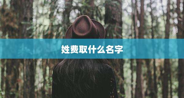 姓费取什么名字