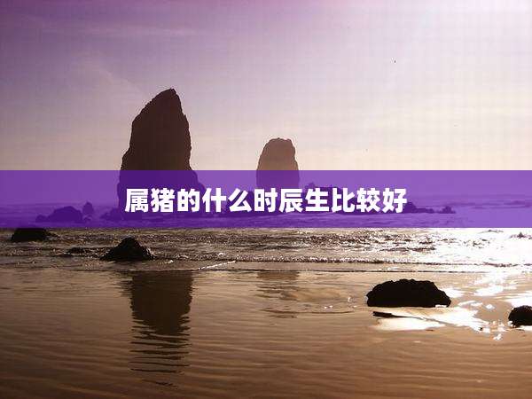 属猪的什么时辰生比较好