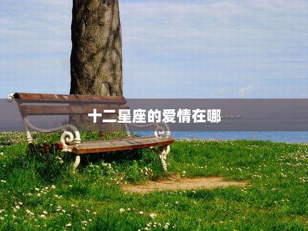 十二星座的爱情在哪
