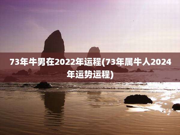 73年牛男在2022年运程(73年属牛人2024年运势运程)