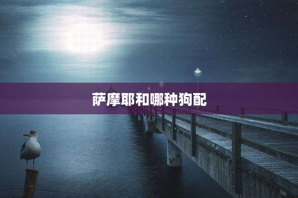 萨摩耶和哪种狗配