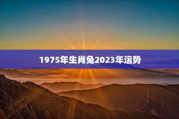 1975年生肖兔2023年运势
