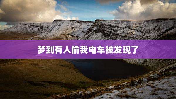 梦到有人偷我电车被发现了