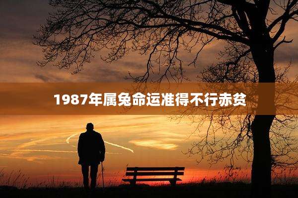 1987年属兔命运准得不行赤贫