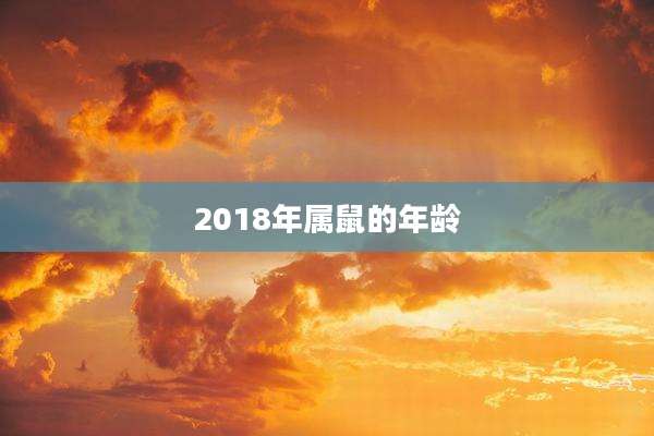 2018年属鼠的年龄