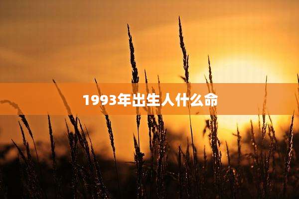 1993年出生人什么命