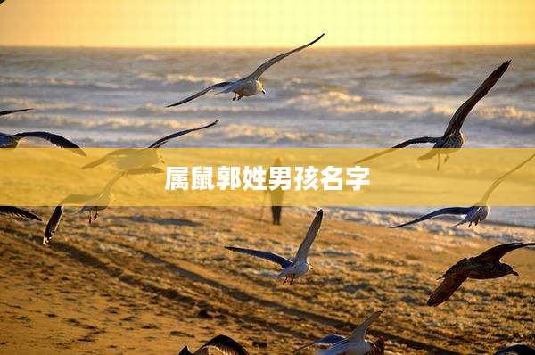 属鼠郭姓男孩名字