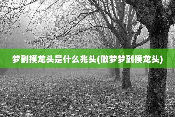 梦到摸龙头是什么兆头(做梦梦到摸龙头)