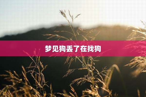 梦见狗丢了在找狗