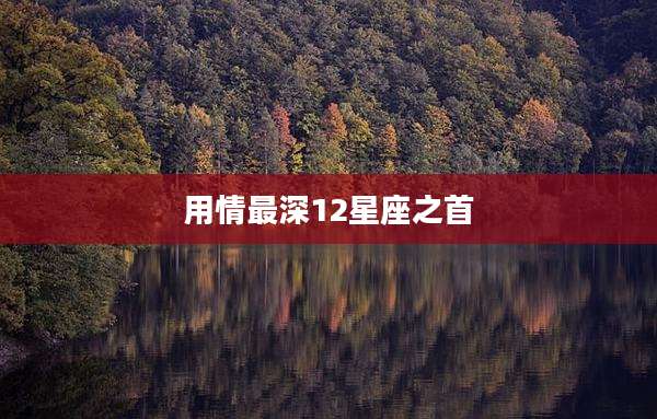 用情最深12星座之首
