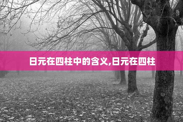 日元在四柱中的含义,日元在四柱