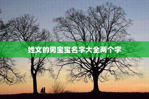 姓文的男宝宝名字大全两个字
