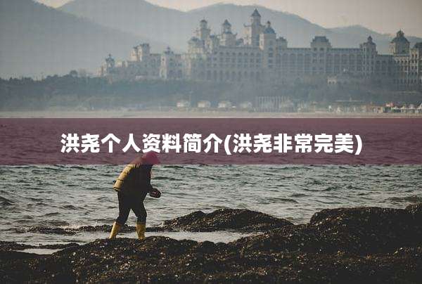 洪尧个人资料简介(洪尧非常完美)