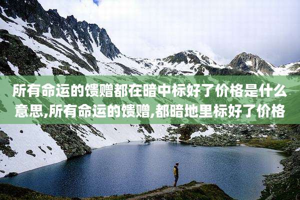 所有命运的馈赠都在暗中标好了价格是什么意思,所有命运的馈赠,都暗地里标好了价格