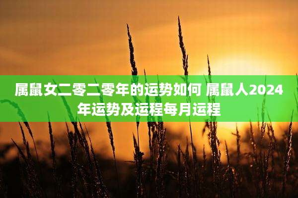 属鼠女二零二零年的运势如何 属鼠人2024年运势及运程每月运程