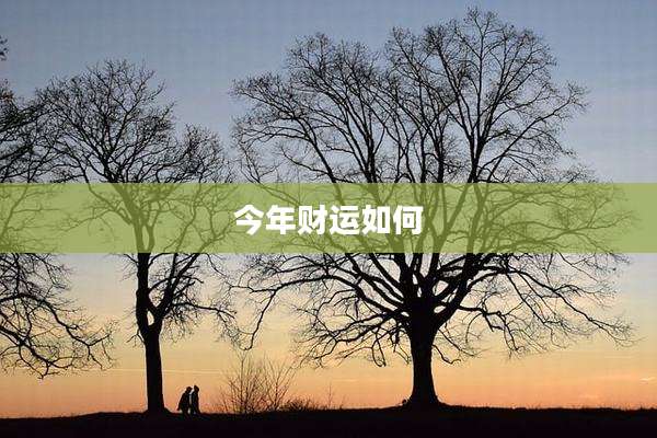 今年财运如何