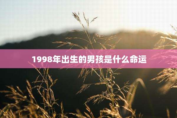 1998年出生的男孩是什么命运