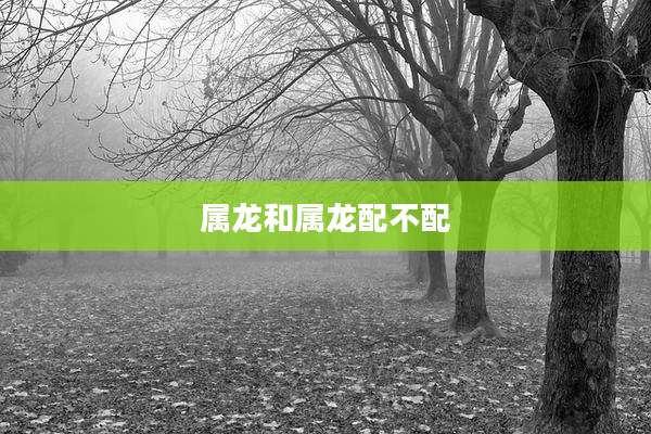 属龙和属龙配不配