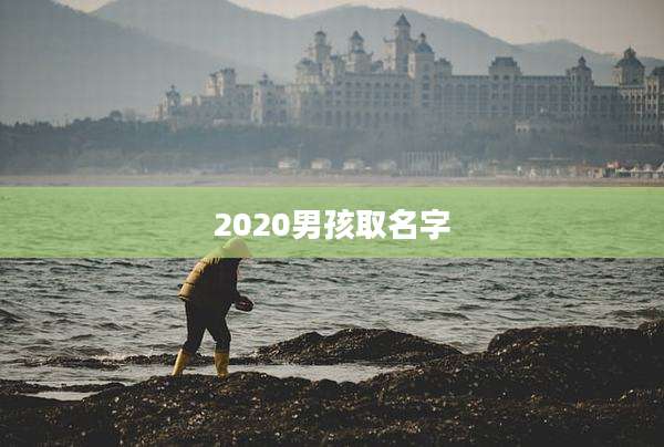 2020男孩取名字