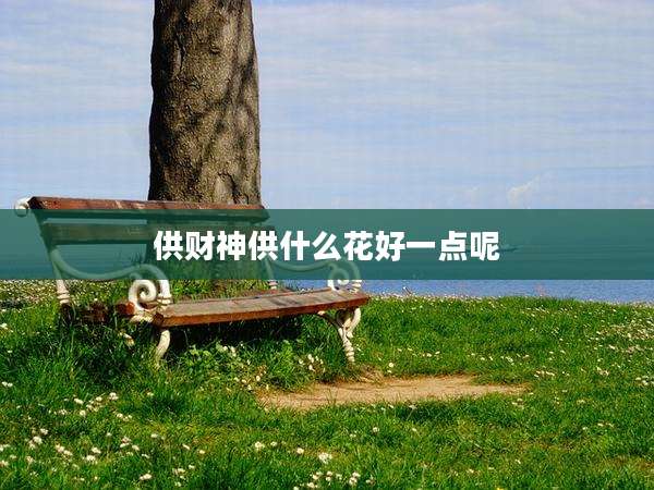 供财神供什么花好一点呢