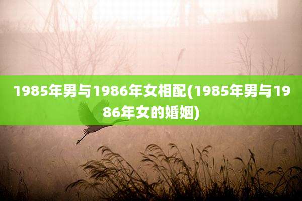 1985年男与1986年女相配(1985年男与1986年女的婚姻)