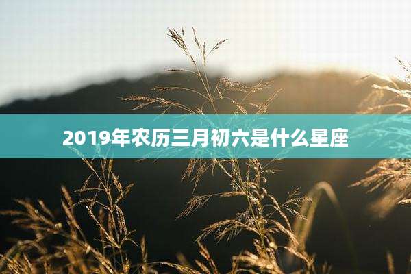 2019年农历三月初六是什么星座