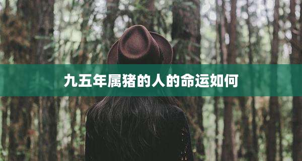 九五年属猪的人的命运如何