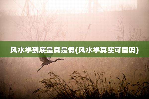 风水学到底是真是假(风水学真实可靠吗)
