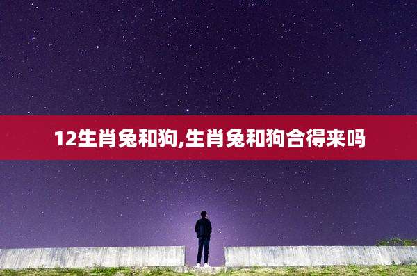 12生肖兔和狗,生肖兔和狗合得来吗