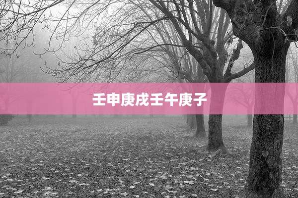壬申庚戌壬午庚子