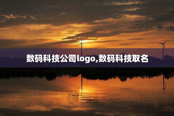 数码科技公司logo,数码科技取名