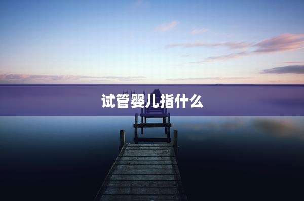 试管婴儿指什么