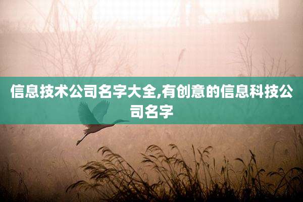 信息技术公司名字大全,有创意的信息科技公司名字