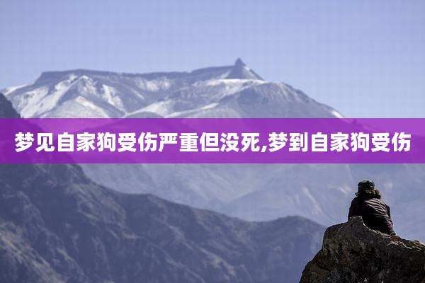 梦见自家狗受伤严重但没死,梦到自家狗受伤